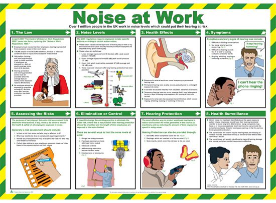 Noise at Work